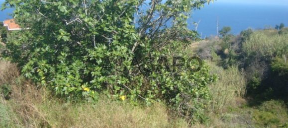 Terrain à Santa Cruz, Portugal 450m² No. 188544 4