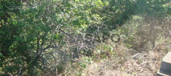 Terrain à Santa Cruz, Portugal 450m² No. 188544 6