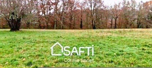 Земельный участок 4208м² в Сен-Ромен-де-Монпазье, Франция № 102573 2