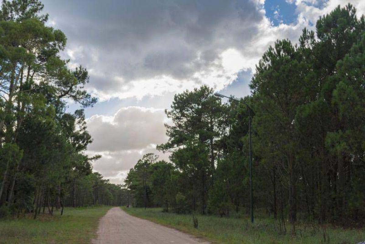 Grundstück in Mar del Plata, Argentina, Nr. 119448