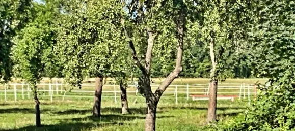 4 bedrooms House in Nienburg, Germany No. 282755 19