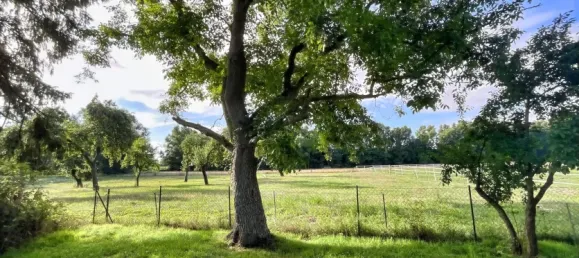 4 bedrooms House in Nienburg, Germany No. 282755 21