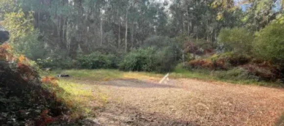 Lagerhaus in Pontevedra, Spain 400m², Nr. 140519 15