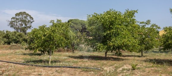 Casa T2 em Moita, Portugal N.º 334592 29