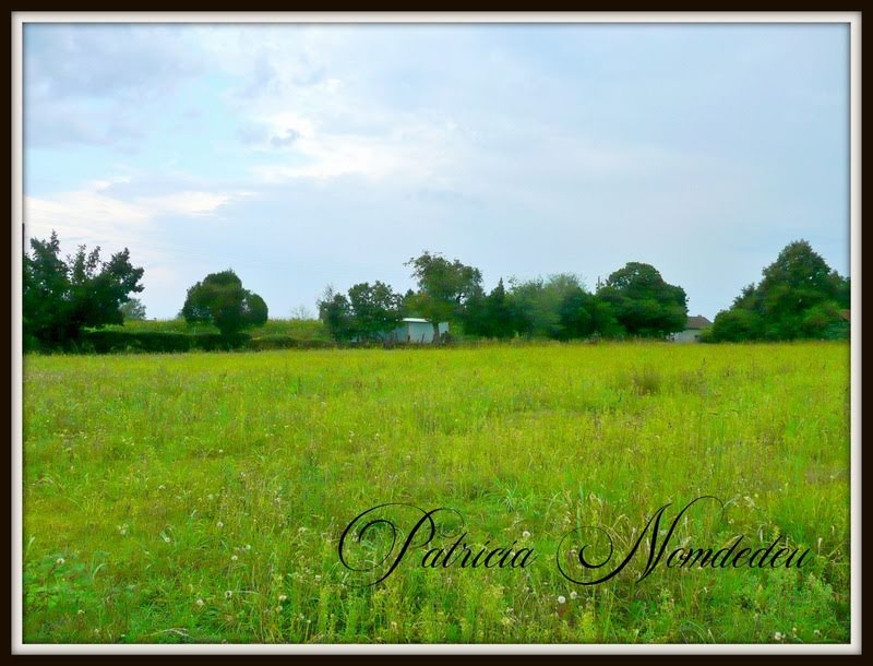 1888m² Land in Sevignacq, France No. 113567