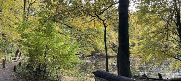 2 bedrooms Duplex in Wandsbek, Germany No. 217712 18