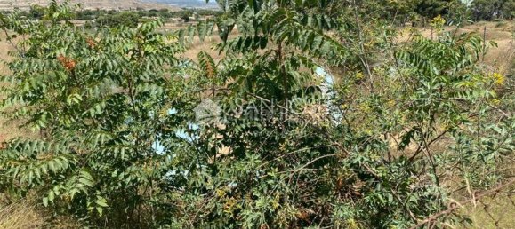 Terreno de 1 dormitorio en Aspe, Spain No. 25811 17