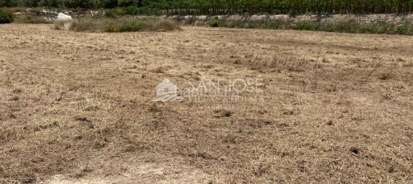 Terreno de 1 dormitorio en Aspe, Spain No. 25811 16