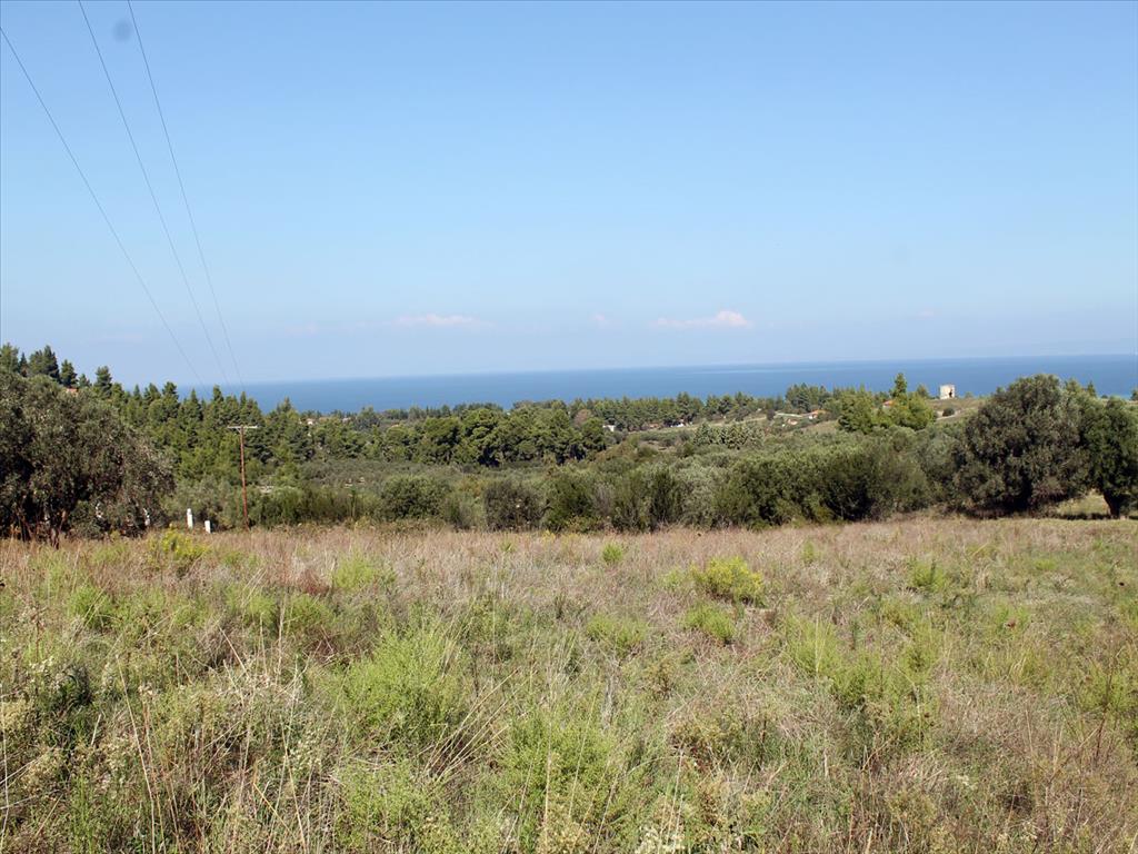 22500m² Hotel in Chalkidiki, Greece No. 7555