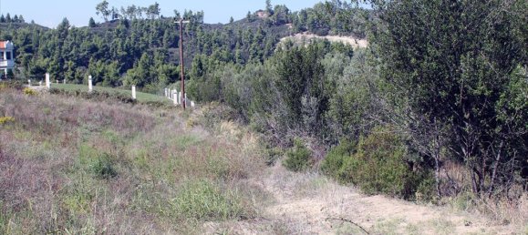 22500m² Hotel in Chalkidiki, Greece No. 7555 5