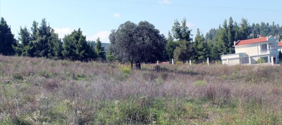 22500m² Hotel in Chalkidiki, Greece No. 7555 4