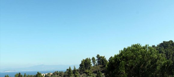 22500m² Hotel in Chalkidiki, Greece No. 7555 8