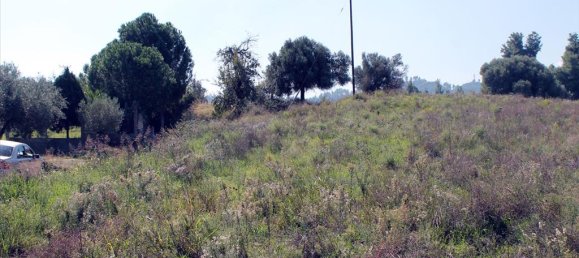 22500m² Hotel in Chalkidiki, Greece No. 7555 3