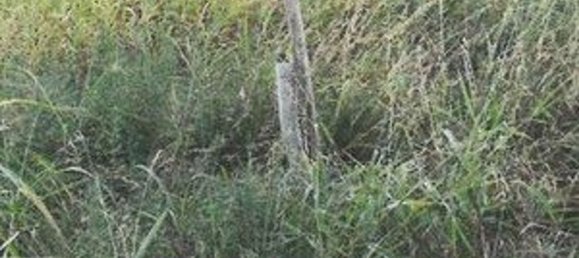 794m² Land in Monselice, Italy No. 58859 10