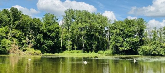  قطعة أرض في Jura, France 36660متر مربع رقم 360405 5