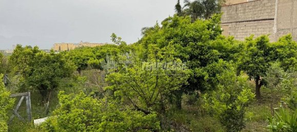 Apartamento de 2 dormitorios en Boscotrecase, Italy No. 276556 19