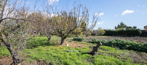 3104m² Land in Granada, Spain No. 165513 10