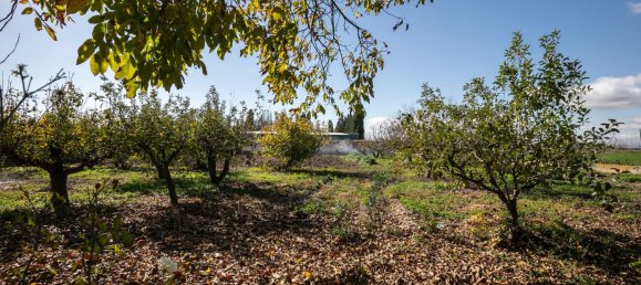 3104m² Land in Granada, Spain No. 165513 32