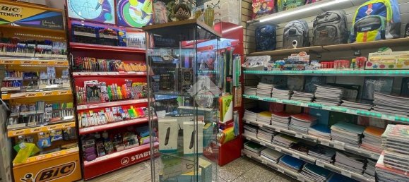 Gewerbliche Immobilie in Rome, Italy 130m², Nr. 370169 10