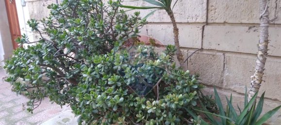 Дом с 5 комнатами в Ферла, Италия № 9128 5