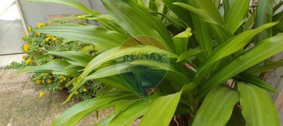 Дом с 5 комнатами в Ферла, Италия № 9128 26