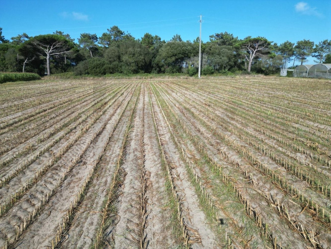 Земельный участок в Повуа ди Варзин, Португалия № 310963