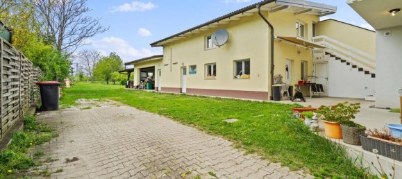 4 bedrooms House in Enzesfeld-Lindabrunn, Austria No. 132356 30