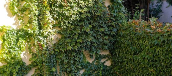 4 Schlafzimmer Haus in Salamanca, Spain, Nr. 153315 18