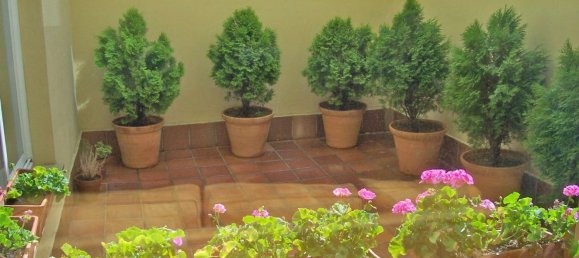 4 Schlafzimmer Haus in Salamanca, Spain, Nr. 153315 20