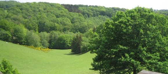 Земельный участок в Рейн-Зиг, Германия № 227981 5