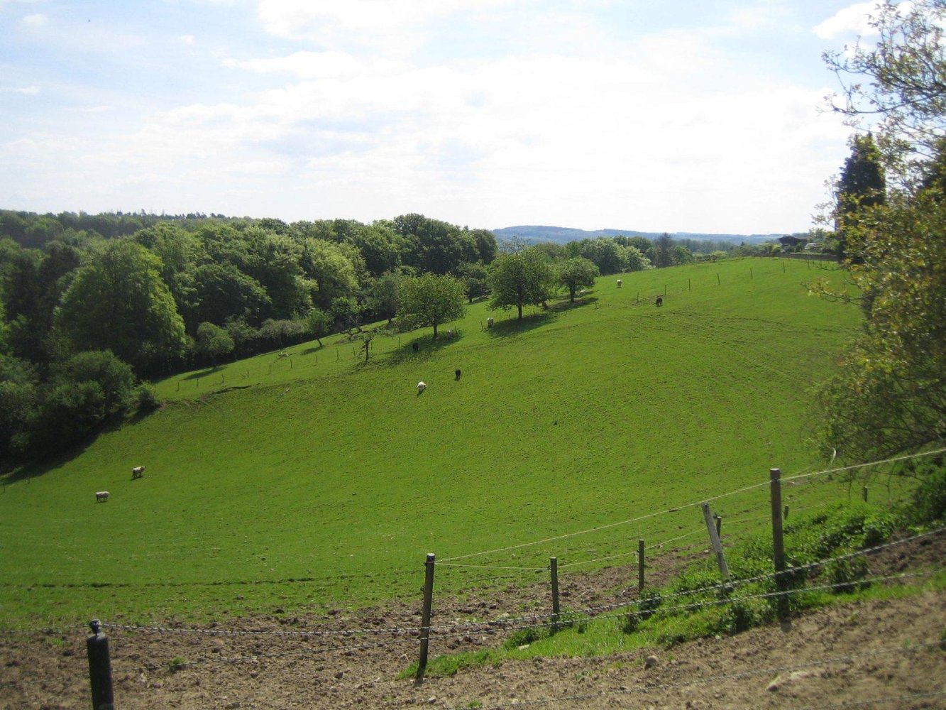 Земельный участок в Рейн-Зиг, Германия № 227981