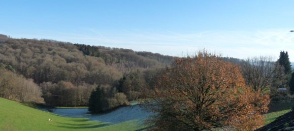 Земельный участок в Рейн-Зиг, Германия № 227981 2