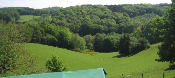 Земельный участок в Рейн-Зиг, Германия № 227981 4