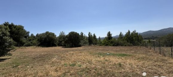 840m² Land in La Palme, France No. 312659 4