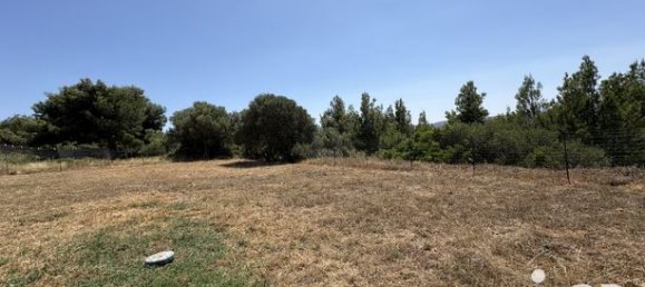 840m² Land in La Palme, France No. 312659 5