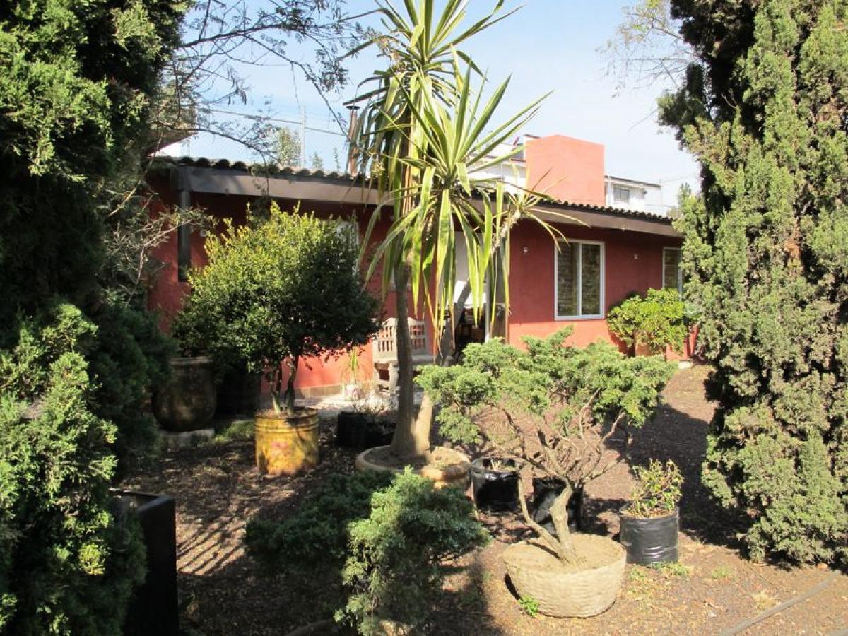 2214m² Office in Ocoyoacac, Mexico No. 202388