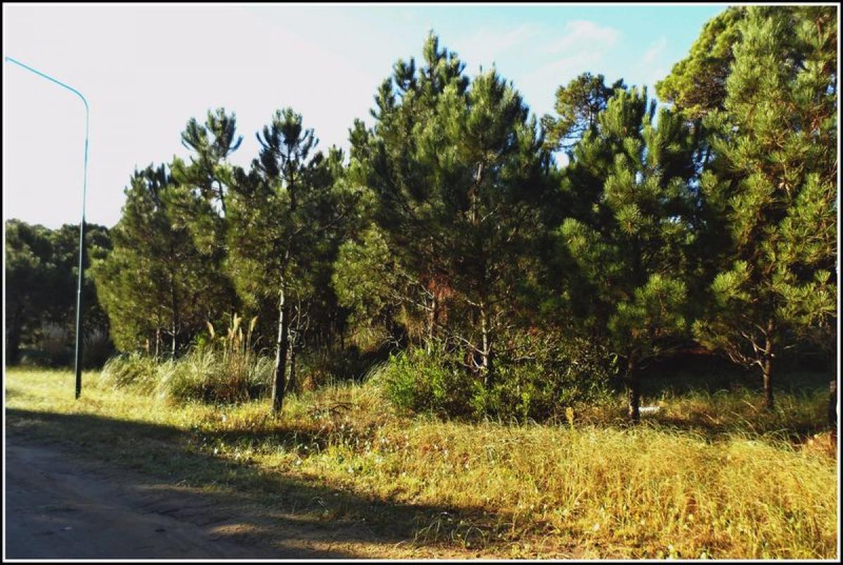  Land in Mar del Plata, Argentina No. 121593