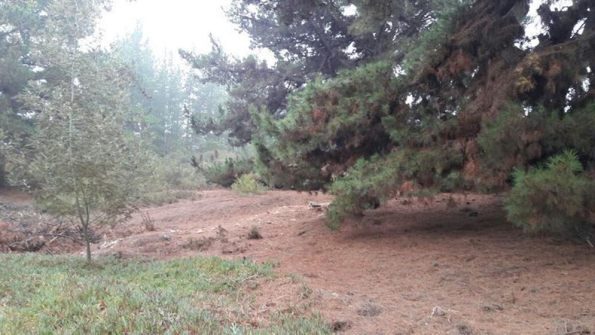  Land in Valparaiso, Chile No. 984