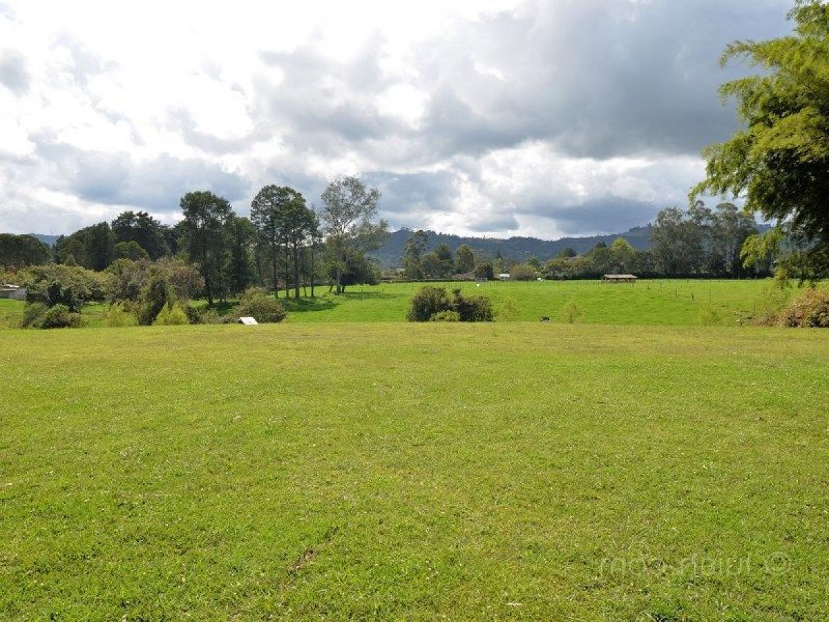 Terrain à Antioquia, Colombia No. 405
