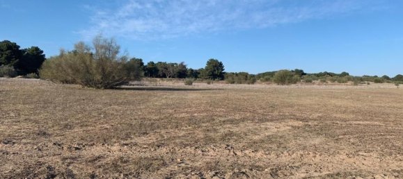 Terreno em Boecillo, Spain 8840 m² N.º 157301 11