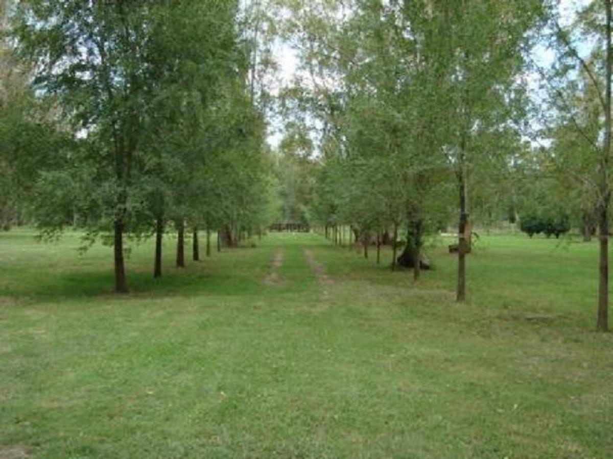Granja en San Andrés de Giles, Argentina No. 33615