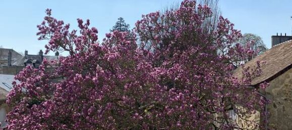 3 غرف نوم شقة في Alencon, France رقم 355690 3