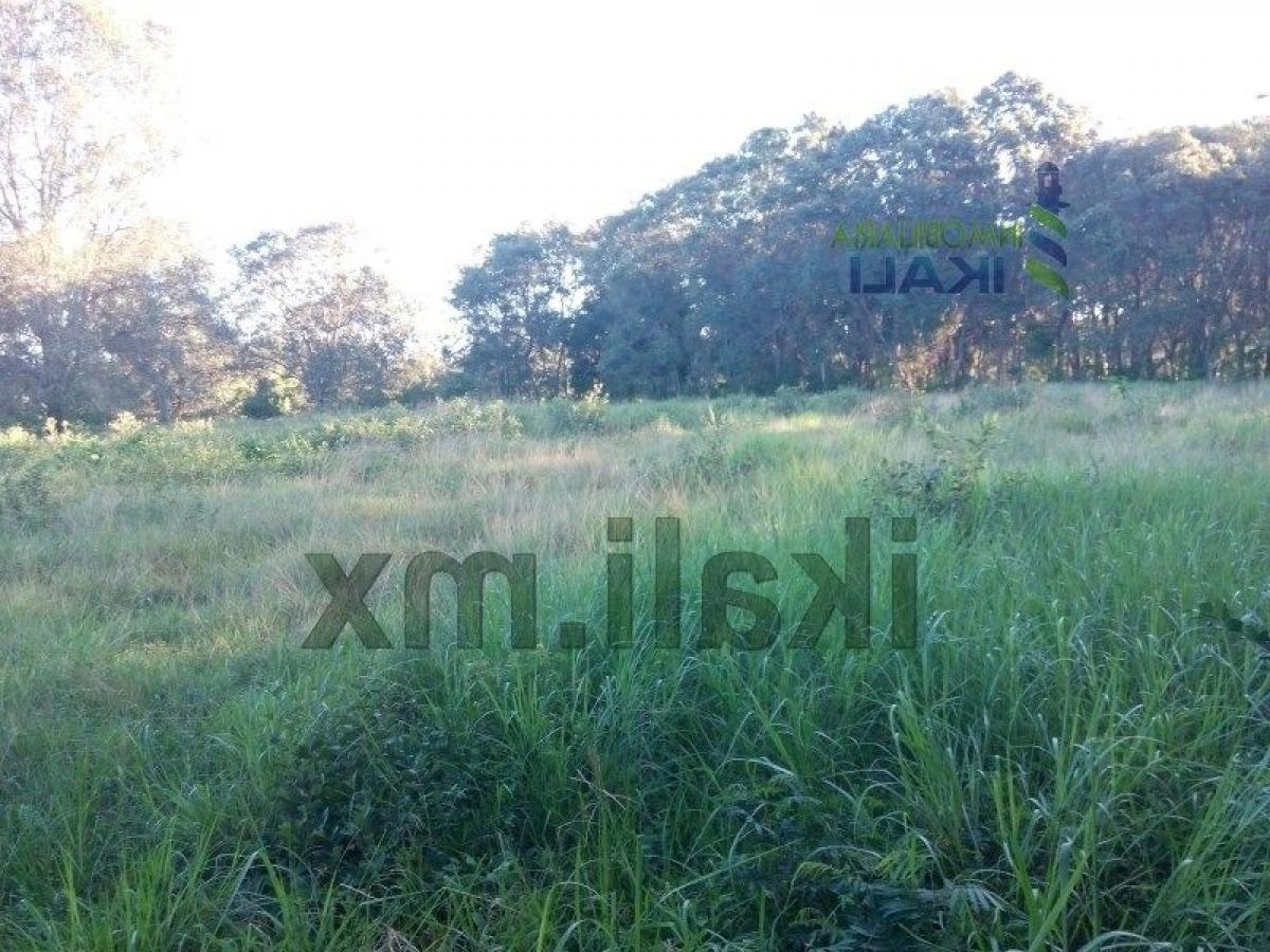 Terrain à Veracruz, Mexico No. 204153