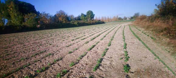  Land in Zaragoza, Spain No. 62018 4