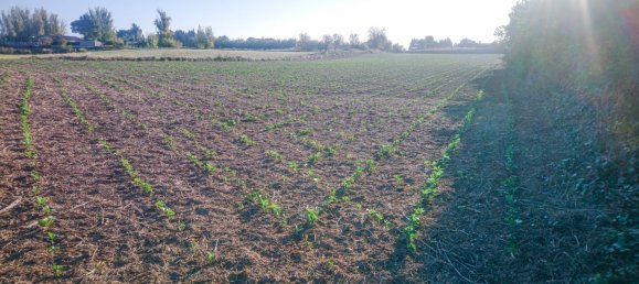  Land in Zaragoza, Spain No. 62018 7