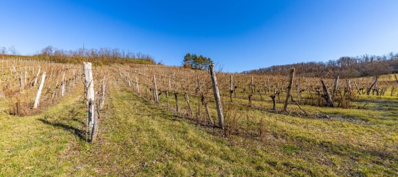  Land in Ziersdorf, Austria No. 131513 5