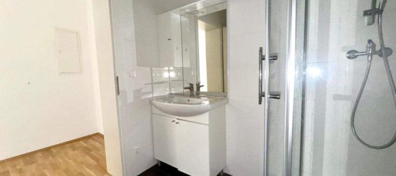 2 rooms Apartment in Ries, Austria No. 256796 12