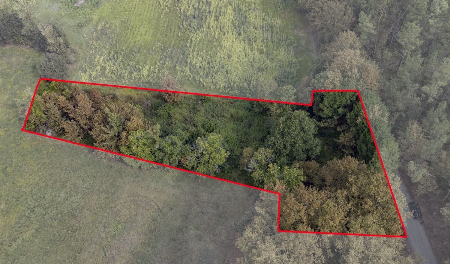  Land in Lage, Portugal No. 328804