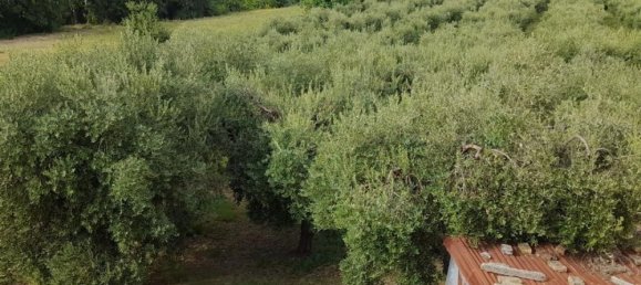 6-salle Maison à Ari, Italy No. 202675 6