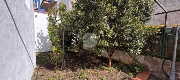 Studio in Lettere, Italy No. 150694 13